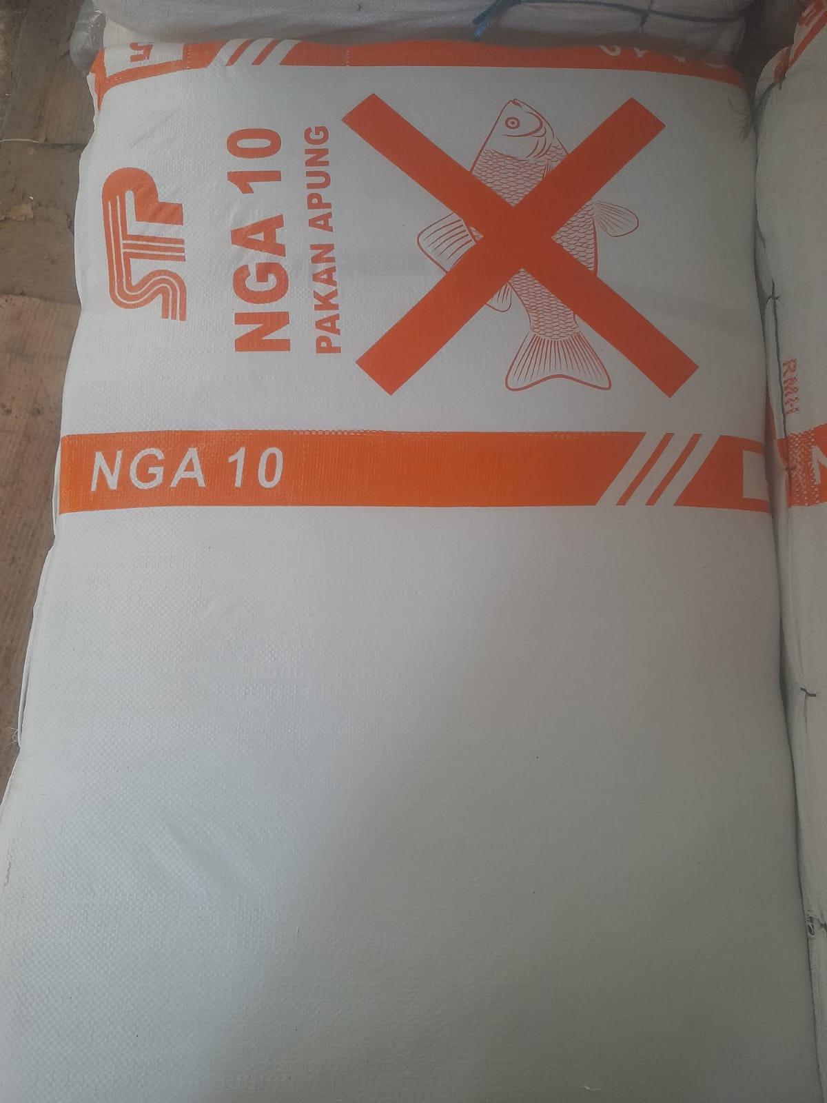 Foto 2 dari Goni Ikan STP Baru
